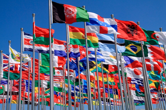 Harika Tüm Dünya Ülkeleri Bayrakları 3X5FT 100 Polyester Malzeme