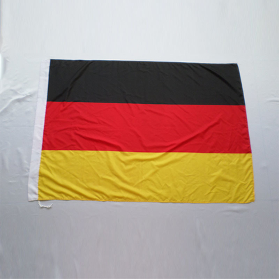 Özel LOGO Bayrakları 68D/100D Polyester Dünya Bayrakları Pantone Renkli Baskı