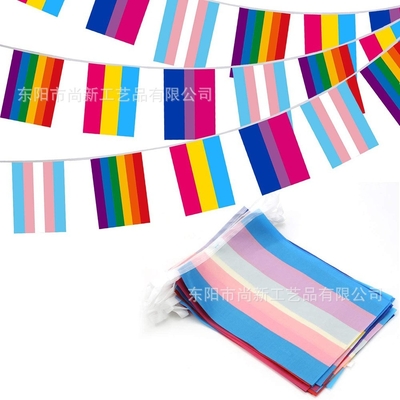 Özel Logo Polyester LGBT Bayrağı Lezbiyen Gay Pride Üçgen Bayrağı